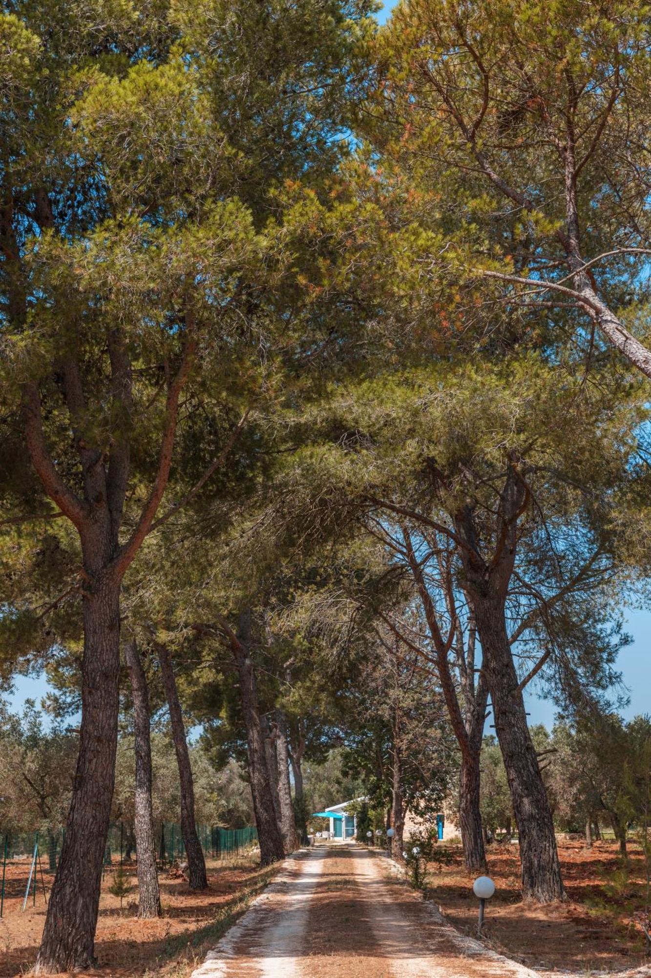 Trullo Tarantini Con Piscina Privata Appartement Latiano Buitenkant foto