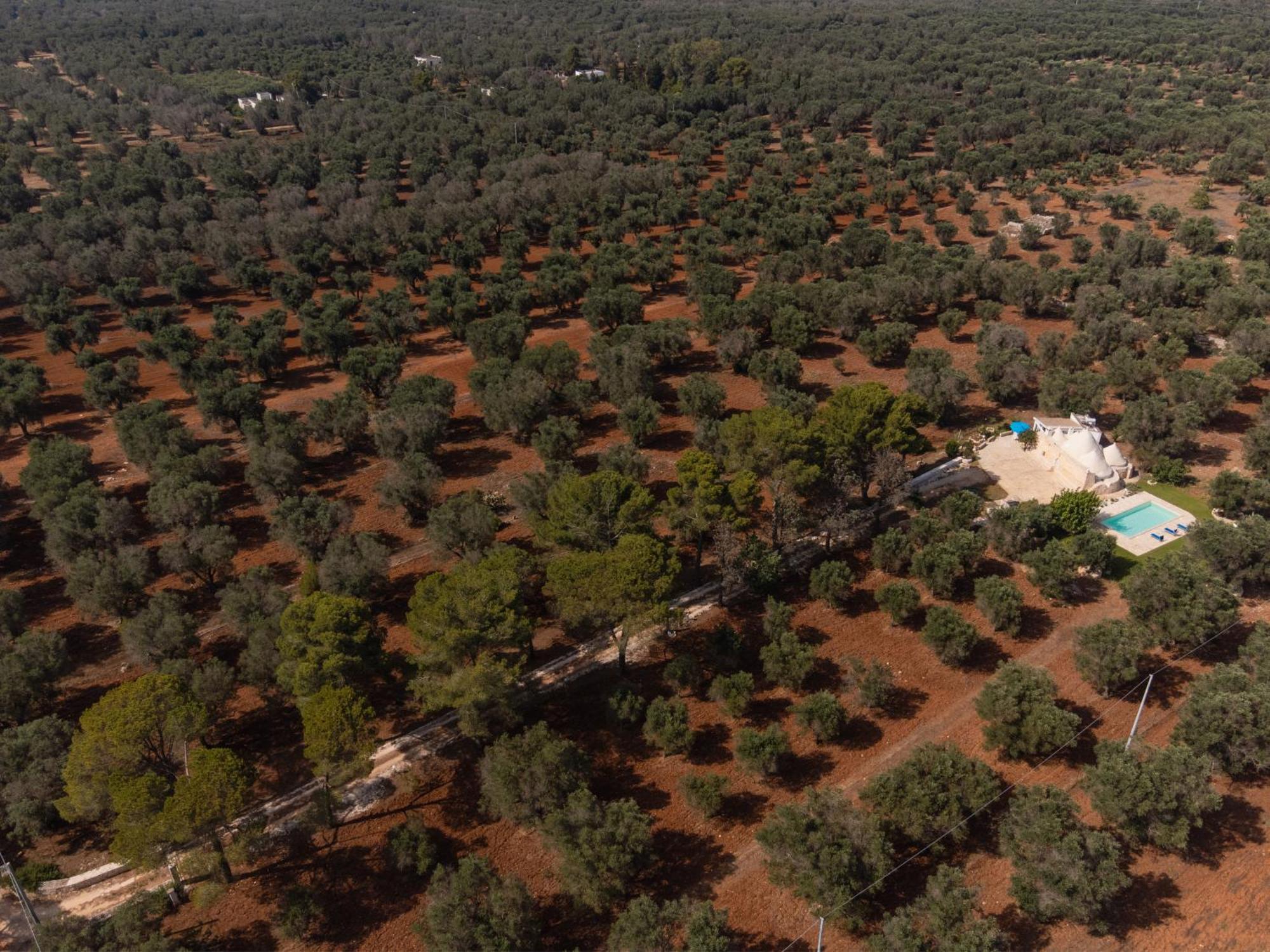 Trullo Tarantini Con Piscina Privata Appartement Latiano Buitenkant foto